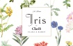ClariS - Iris 2024 [24B-96kHz] [Hi-Res Flac 1.03GB]