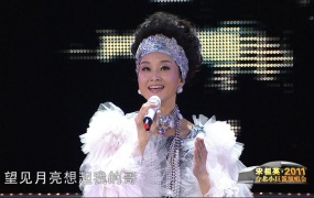 宋祖英 From Song Zuying At Taipei Arena Concert 2011 台北小巨蛋音乐会《ISO 39.64G》