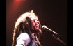 巴布马利1978演唱会 Bob.Marley.&.The.Wailers.Easy.Skanking.In.Boston.'78《ISO 10.8G》