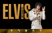 猫王1970拉斯维加斯演唱会 Elvis - That's the Way It Is 1970《BDISO 20.3G》