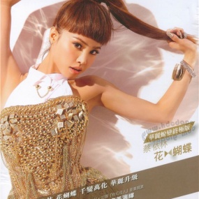 蔡依林 花蝴蝶 华丽蜕变终极版(DVD ISO 1.21G)