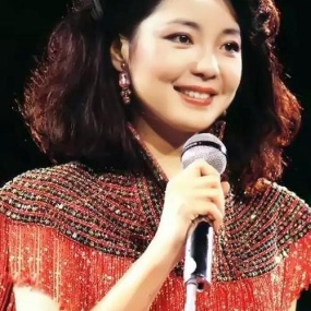 邓丽君 十亿个掌声 LD转制视听版(DVD ISO 5.65G)