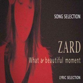 阪井泉水 - 2004美丽的时刻巡回演唱会(DVD/ISO/4.33G)