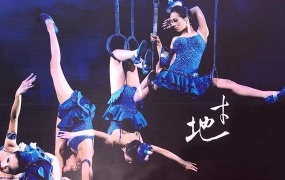 蔡依林 - 2007地才唯舞独尊演唱会纪实（DVD/ISO6.35G）