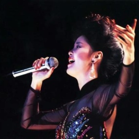 邓丽君 十亿个掌声 环球改进版(DVD ISO 3.83G)