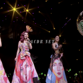 S.H.E - 2gether 4ever 2014 最相爱演唱会安可场台北站花絮(DVD/ISO/3.79)