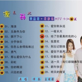 梁静茹 黄品源 源来茹此MTV卡拉OK 滚石唱片(DVD MDF 4.12G)