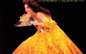 徐小凤 金光灿烂徐小凤演唱会’1989 Karaoke（DVD ISO 4.78G）