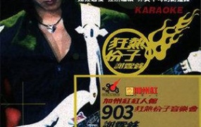 谢霆锋 - 加州红903狂热分子音乐会 卡拉OK（DVD/ISO/4.03G）