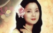 邓丽君香港篇 1978年香港电视特辑（DVD ISO 4.69G）