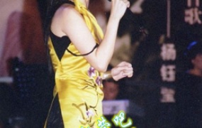 杨钰莹 2002 北京演唱会（DVD ISO 3.93G）
