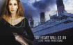 席琳狄翁 Celine Dion  – 天长地久MV精选 ALL THE WAY A Decade of Song and Video（DVD ISO 4.37G）