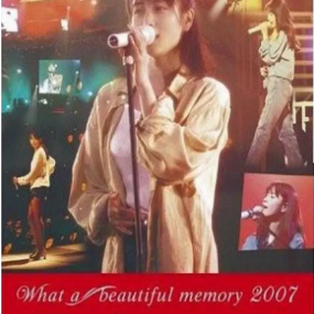 坂井泉水さかい いずみ-2007演唱会(DVD-ISO4.36G)