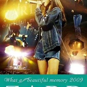 坂井泉水さかい いずみ-2009演唱会(DVD-ISO4.36G)