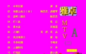 群星 - 雅卓MTV2[LD转][KTV][2DVDISO][5.84G+5.62G]