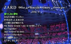 坂井泉水 - What a beautiful memory-20周年[2DVD-ISO6.56G+4.82G]