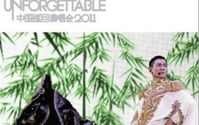 刘德华 - Unforgettable中国上海巡回演唱会2011[KTV][DVDISO][7.93GB]