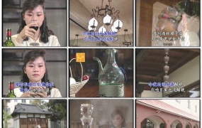 詹雅雯 - 用心肝饮的酒 日本之旅[KTV][DVD-ISO][3.29G]