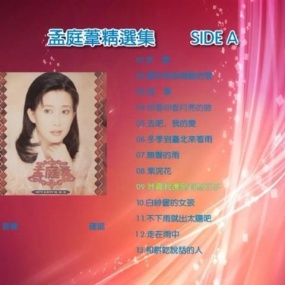 孟庭苇精选 (2DVD-ISO4.37G)