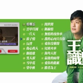 王识贤 - 严选情歌辑 原声原影卡拉OK(DVD-ISO4.05G)