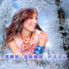 群星 - 情歌101 VOL.2(DVD ISO 4.17GB)
