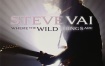 Steve vai - where the wild things are 2xBlu-Ray 2007 (2009) 720P《BDMV 2BD 42.7G》