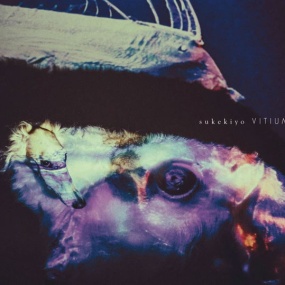 Sukekiyo - VITIUM Blu-ray 2015 专辑蓝光碟部分《BDMV 13.5G》