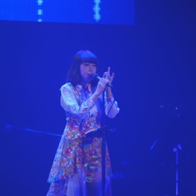 yanaginagi - Live Tour 2015 - polynomial《Remux MKV 17.2G》