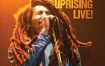Bob Marley And The Wailers - Live In Concert 1980《BDMV 10.5G》