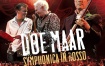 Doe Maar Symphonica in Rosso 2012 NL《BDMV 22.2G》