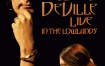 Willy DeVille - Live In The Lowlands 2005 [2006]《BDMV 31.9G》