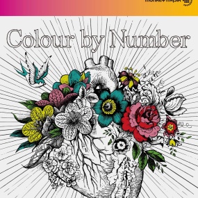 MONKEY MAJIK - Colour by Number 2015 CD+BD《BDMV 20.2G》