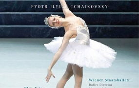 柴可夫斯基芭蕾舞剧天鹅湖 维也纳2014 Tchaikovsky Swan Lake Vienna 2014《BDMV 21.59GB》