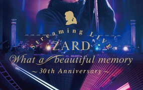ZARD Streaming LIVE “What a beautiful memory ~30th Anniversary~” 2021《BDISO 2BD 55.9GB》