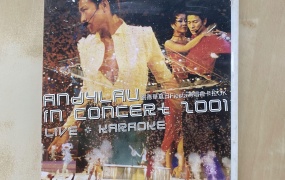 刘德华 夏日Fiesta演唱会 2001 卡拉OK [DVDISO 7.57GB]