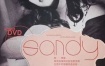 林忆莲 - SANDY Bonus [DVD ISO 2.45G]