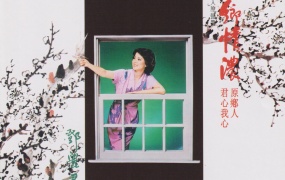 邓丽君 - 富士特辑 歌林复刻版 1980 [DVD ISO 3.91G]