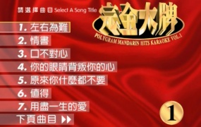 宝丽金 - 宝丽金完全大牌 (一) Karaoke 卡拉OK [DVD ISO 4.23GB]