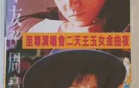 张学友&周慧敏 - 天王玉女金曲夜1993至尊演唱会 [DVD ISO 3.19G]
