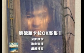 刘德华 - 卡拉OK专集3B [DVD ISO 2.76G]