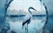 Herons Swamp - Voyage of Strangers 2023 [24Bit/48kHz] [Hi-Res Flac 557MB]