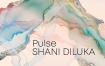 夏妮·迪鲁卡 Shani Diluka - Pulse 2023 [24Bit/96kHz] [Hi-Res Flac 1.31GB]