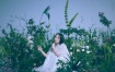 南條愛乃 Yoshino Nanjo - The Fantasic Garden 2023 [24Bit/96kHz] [Hi-Res Flac 1.01GB]