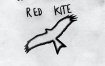 Jamil Sheriff - Red Kite 2024 [24Bit/44.1kHz] [Hi-Res Flac 772MB]