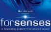 Forsenses - A Fascinating Journey into Nature & Sound 2009 [BDMV 14.3GB]