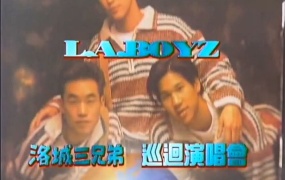 L.A.Boyz 洛城三兄弟1994巡回演唱会 [DVD ISO 4.25G]