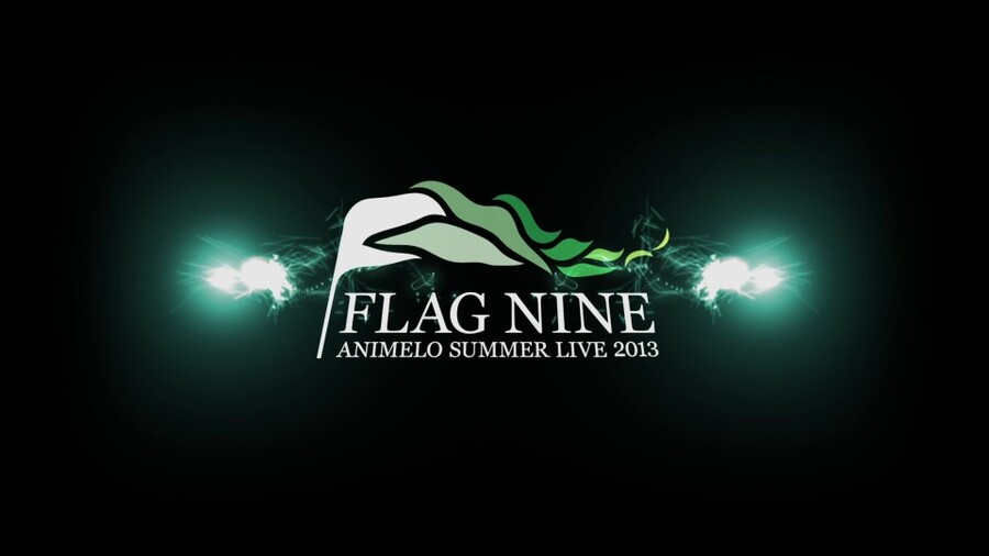 Animelo Summer Live 2013 (1)