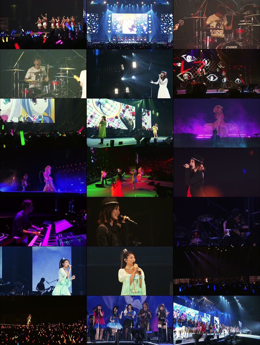 Animelo Summer Live 2013 (3)