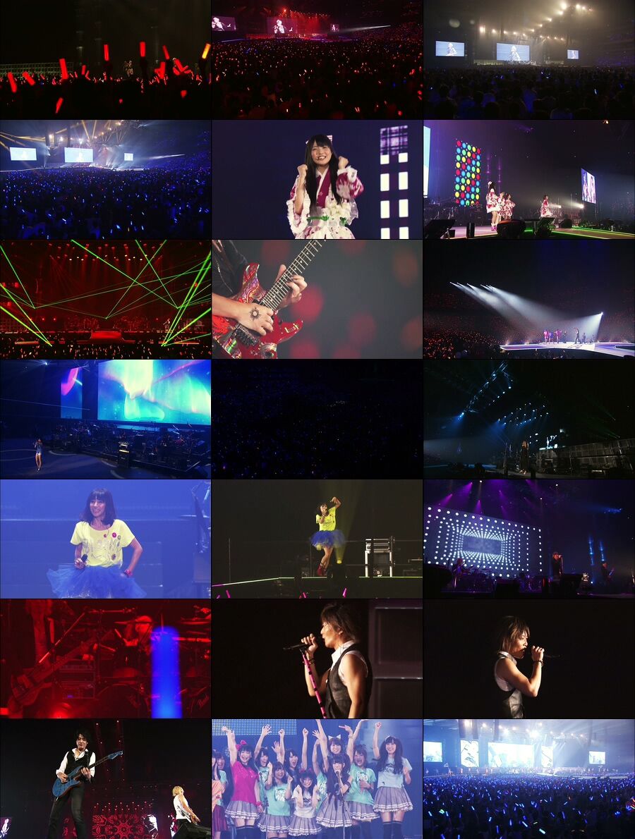 Animelo Summer Live 2013 (4)