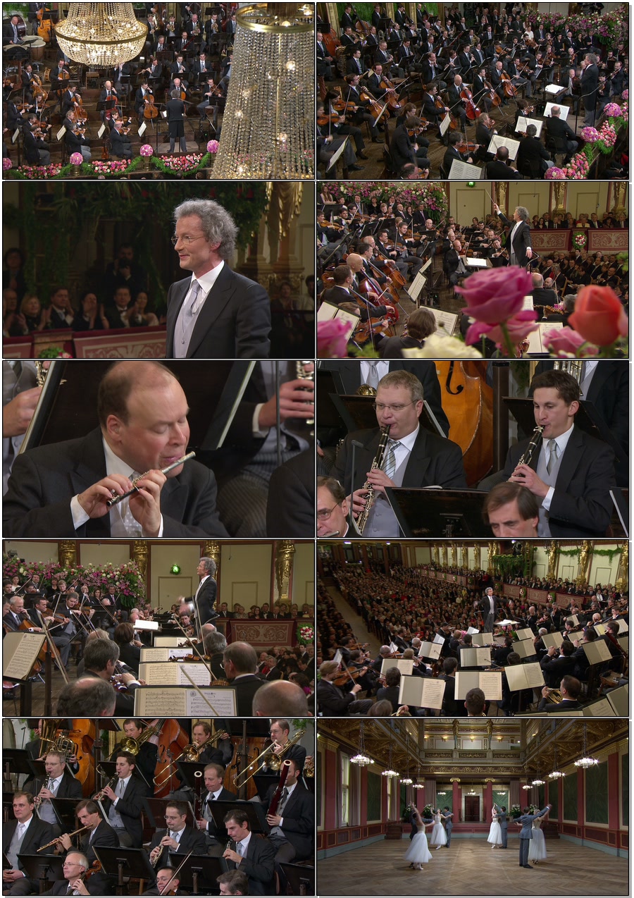 Neujahrskonzert 2011 (3)